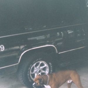 Meet your Posher, Allan